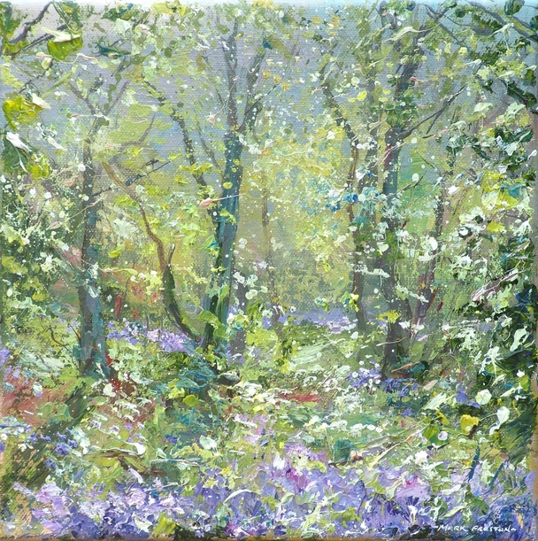 Mark Preston - sunlit bluebells